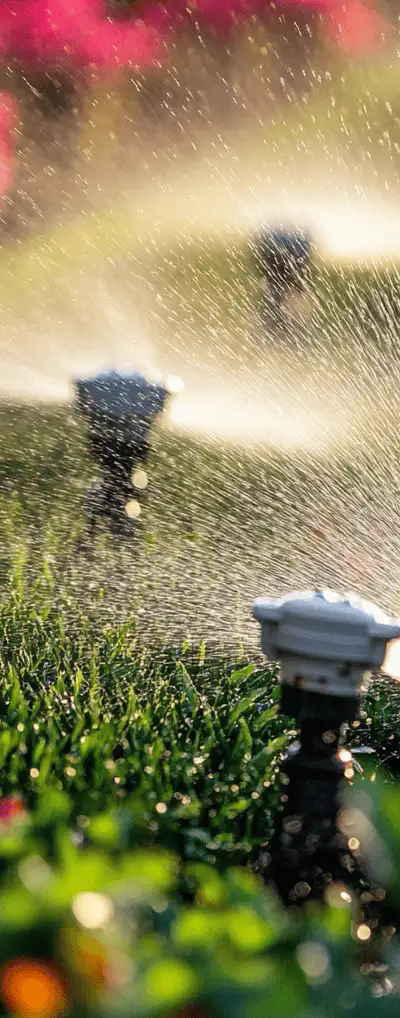 Florida Backyard irrigation System, Martin County FL - Alpha Zeta