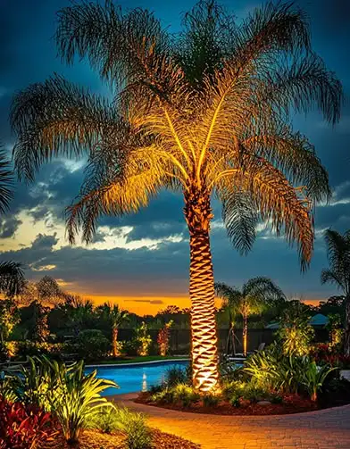Palm City, FL - Landscape Lighting Installer - Alpha Zeta