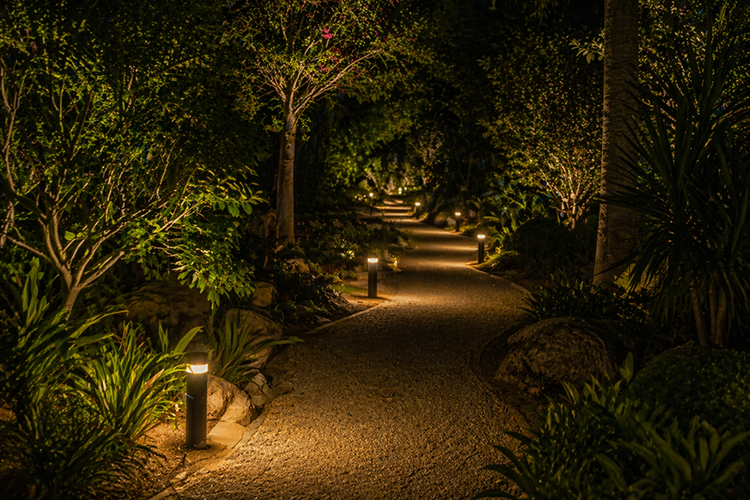 A tree-lined garden path lit by low-voltage bollard lights at night, demonstrating how backyard lighting improves security, visibility, and outdoor appeal