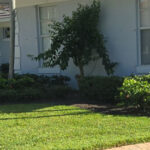 Maintaining Artificial Grass in Palm City, FL: A Homeowner’s Guide to Turf That Lasts